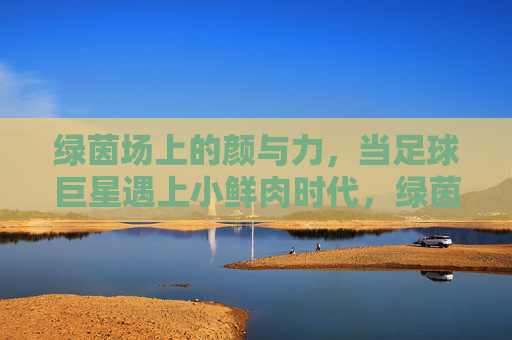 绿茵场上的颜与力,当足球巨星遇上小鲜肉时代,绿茵场颜力碰撞,巨星与小鲜肉的时代对话 绿茵场上的颜与力,当足球巨星遇上小鲜肉时代,绿茵场颜力碰撞,巨星与小鲜肉的时代对话