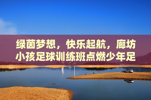 绿茵梦想,快乐起航,廊坊小孩足球训练班点燃少年足球热情 绿茵梦想,快乐起航,廊坊小孩足球训练班点燃少年足球热情