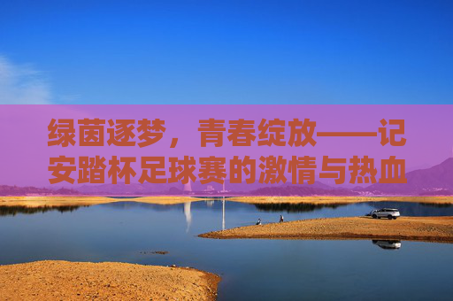 绿茵逐梦，青春绽放——记安踏杯足球赛的激情与热血，绿茵逐梦，青春热血——安踏杯足球赛