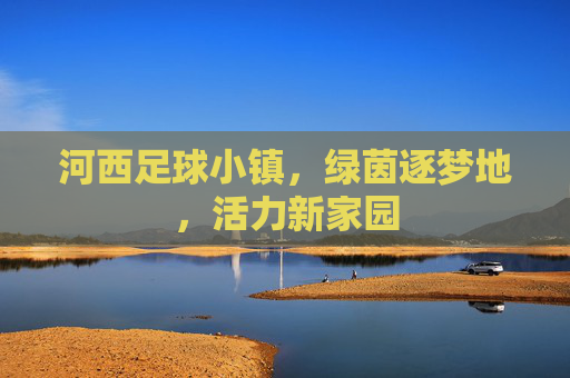 河西足球小镇，绿茵逐梦地，活力新家园