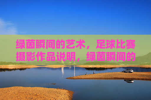 绿茵瞬间的艺术，足球比赛摄影作品说明，绿茵瞬间的艺术，足球比赛摄影作品说明