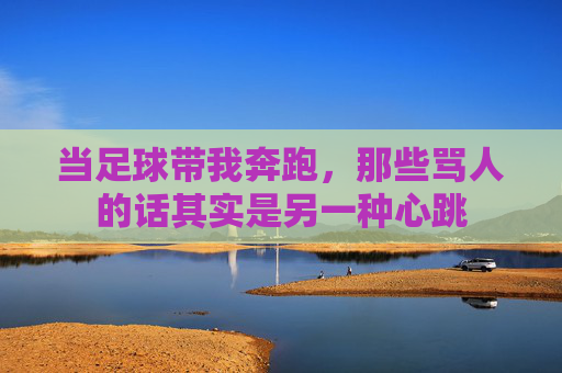 当足球带我奔跑，那些骂人的话其实是另一种心跳
