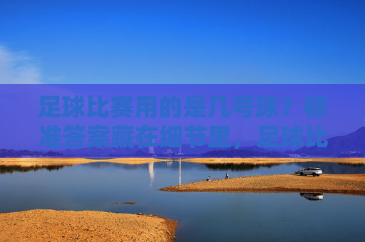 足球比赛用的是几号球？标准答案藏在细节里，足球比赛用几号球？标准答案藏在细节里