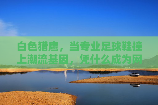 白色猎鹰，当专业足球鞋撞上潮流基因，凭什么成为网红顶流？白色猎鹰，专业足球鞋撞潮流基因，凭什么成网红顶流？