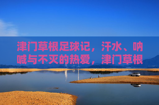 津门草根足球记，汗水、呐喊与不灭的热爱，津门草根，汗水呐喊，热爱不灭