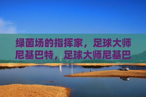 绿茵场的指挥家，足球大师尼基巴特，足球大师尼基巴特，绿茵场的指挥家