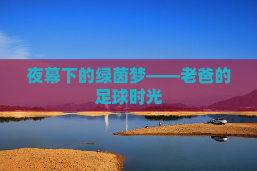 夜幕下的绿茵梦——老爸的足球时光