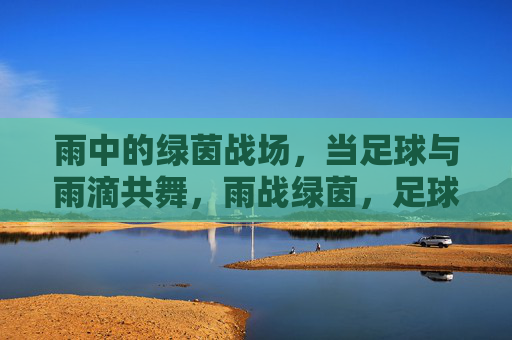 雨中的绿茵战场，当足球与雨滴共舞，雨战绿茵，足球与雨滴共舞