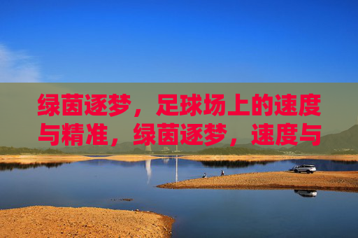绿茵逐梦，足球场上的速度与精准，绿茵逐梦，速度与精准的赛场锋芒