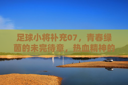 足球小将补充07，青春绿茵的未完待章，热血精神的世纪回响