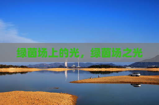 绿茵场上的光，绿茵场之光
