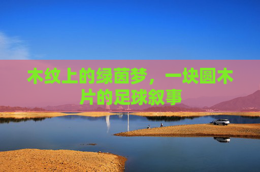 木纹上的绿茵梦,一块圆木片的足球叙事 木纹上的绿茵梦,一块圆木片的足球叙事