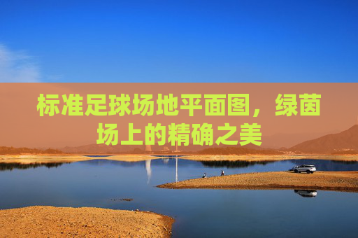 标准足球场地平面图，绿茵场上的精确之美
