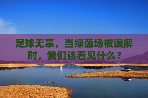 足球无辜，当绿茵场被误解时，我们该看见什么？