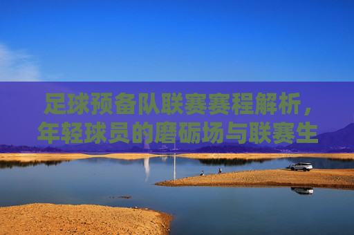 足球预备队联赛赛程解析，年轻球员的磨砺场与联赛生态的基石，足球预备队联赛赛程解析，年轻球员磨砺场与联赛生态基石
