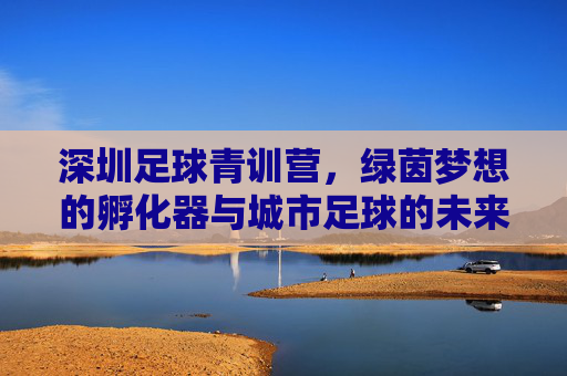 深圳足球青训营,绿茵梦想的孵化器与城市足球的未来密码,深圳青训营,孵化绿茵梦想,解码城市足球未来 深圳足球青训营,绿茵梦想的孵化器与城市足球的未来密码,深圳青训营,孵化绿茵梦想,解码城市足球未来