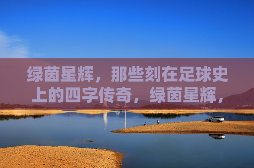 绿茵星辉，那些刻在足球史上的四字传奇，绿茵星辉，刻在足球史上的四字传奇