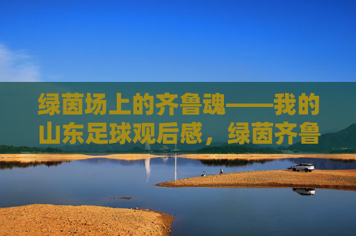 绿茵场上的齐鲁魂——我的山东足球观后感，绿茵齐鲁魂，山东足球印象
