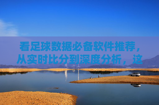 看足球数据必备软件推荐，从实时比分到深度分析，这几款够用了！足球数据必备软件推荐，实时比分到深度分析，这几款够用！