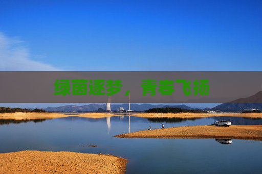 绿茵逐梦，青春飞扬