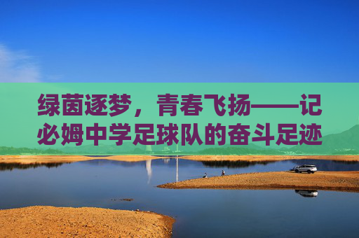 绿茵逐梦，青春飞扬——记必姆中学足球队的奋斗足迹，绿茵逐梦，青春飞扬——必姆中学足球队奋斗足迹