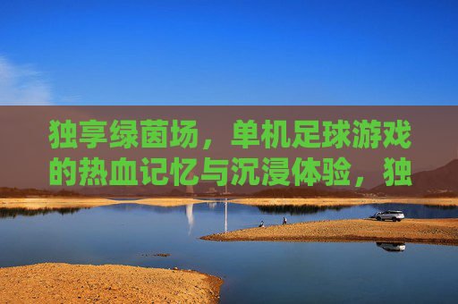 独享绿茵场，单机足球游戏的热血记忆与沉浸体验，独享绿茵，单机足球的热血沉浸记忆