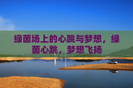 绿茵场上的心跳与梦想,绿茵心跳,梦想飞扬 绿茵场上的心跳与梦想,绿茵心跳,梦想飞扬