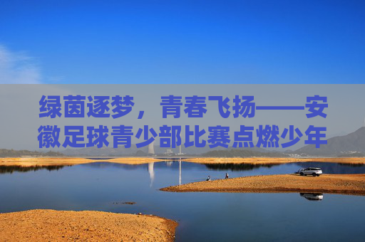 绿茵逐梦，青春飞扬——安徽足球青少部比赛点燃少年足球热情