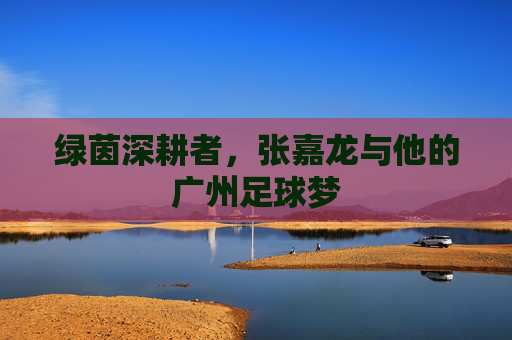 绿茵深耕者，张嘉龙与他的广州足球梦