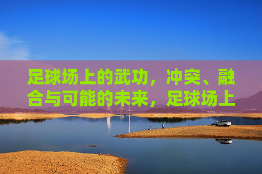 足球场上的武功，冲突、融合与可能的未来，足球场上的武功，冲突、融合与未来