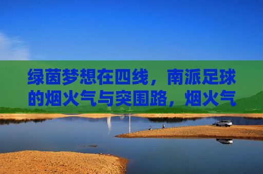 绿茵梦想在四线，南派足球的烟火气与突围路，烟火气里突围，南派足球的四线梦想路