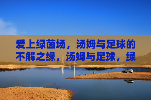 爱上绿茵场，汤姆与足球的不解之缘，汤姆与足球，绿茵场的不解之缘
