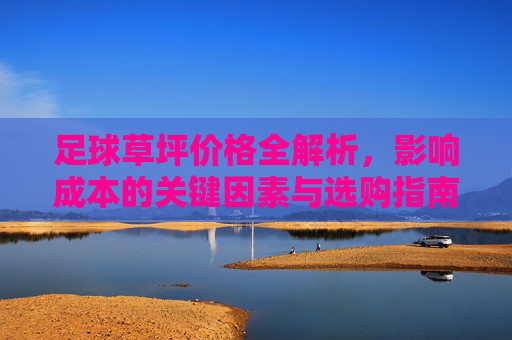 足球草坪价格全解析,影响成本的关键因素与选购指南 足球草坪价格全解析,影响成本的关键因素与选购指南