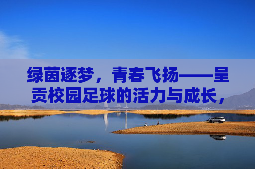 绿茵逐梦，青春飞扬——呈贡校园足球的活力与成长，呈贡校园足球，青春飞扬，活力成长