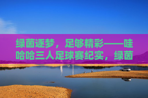 绿茵逐梦,足够精彩——哇哈哈三人足球赛纪实,绿茵逐梦,哇哈哈三人足球赛纪实 绿茵逐梦,足够精彩——哇哈哈三人足球赛纪实,绿茵逐梦,哇哈哈三人足球赛纪实