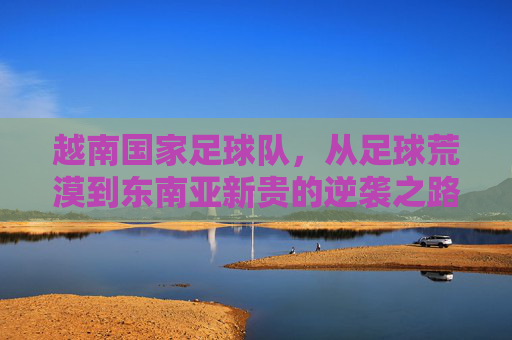 越南国家足球队，从足球荒漠到东南亚新贵的逆袭之路，越南足球，从荒漠到新贵的逆袭之路