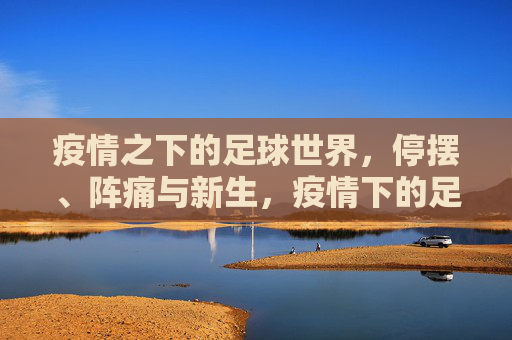 疫情之下的足球世界,停摆、阵痛与新生,疫情下的足球,停摆、阵痛与新生 疫情之下的足球世界,停摆、阵痛与新生,疫情下的足球,停摆、阵痛与新生