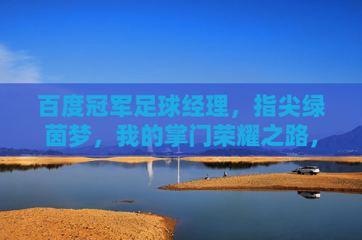 百度冠军足球经理,指尖绿茵梦,我的掌门荣耀之路,掌门荣耀,指尖绿茵梦 百度冠军足球经理,指尖绿茵梦,我的掌门荣耀之路,掌门荣耀,指尖绿茵梦