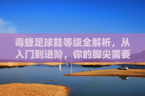 毒蜂足球鞋等级全解析,从入门到进阶,你的脚尖需要哪一级?毒蜂足球鞋等级全解析,从入门到进阶,你的脚尖需要哪一级? 毒蜂足球鞋等级全解析,从入门到进阶,你的脚尖需要哪一级?毒蜂足球鞋等级全解析,从入门到进阶,你的脚尖需要哪一级?