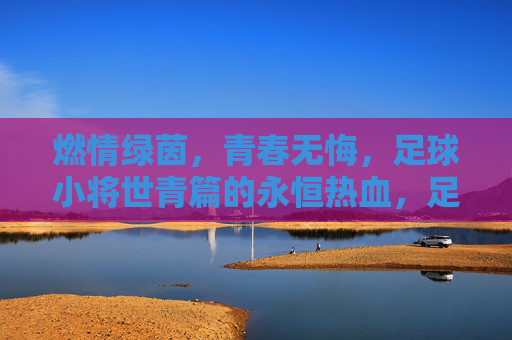 燃情绿茵,青春无悔,足球小将世青篇的永恒热血,足球小将世青篇,燃情绿茵,青春无悔的永恒热血 燃情绿茵,青春无悔,足球小将世青篇的永恒热血,足球小将世青篇,燃情绿茵,青春无悔的永恒热血