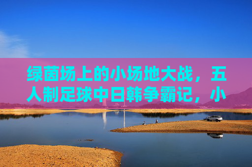 绿茵场上的小场地大战，五人制足球中日韩争霸记，小场地五人制足球中日韩争霸