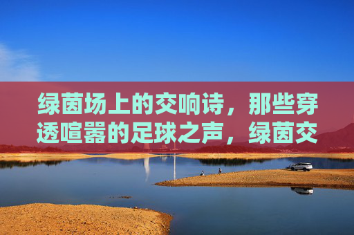 绿茵场上的交响诗，那些穿透喧嚣的足球之声，绿茵交响诗，穿透喧嚣的足球之声