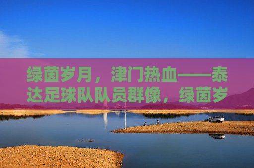 绿茵岁月，津门热血——泰达足球队队员群像，绿茵岁月津门热血，泰达队员群像