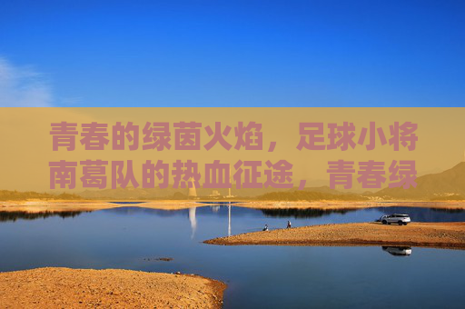 青春的绿茵火焰，足球小将南葛队的热血征途，青春绿茵火焰，南葛队热血征途