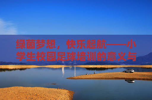 绿茵梦想,快乐起航——小学生校园足球培训的意义与实践 绿茵梦想,快乐起航——小学生校园足球培训的意义与实践