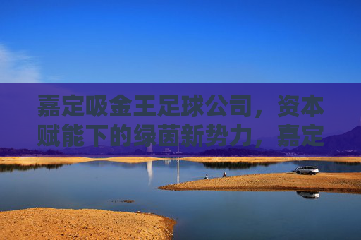 嘉定吸金王足球公司，资本赋能下的绿茵新势力，嘉定吸金王，资本赋能绿茵新势力