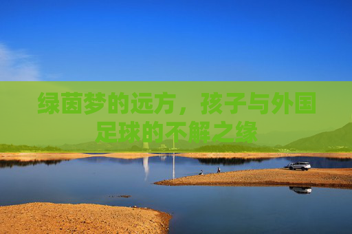 绿茵梦的远方,孩子与外国足球的不解之缘 绿茵梦的远方,孩子与外国足球的不解之缘