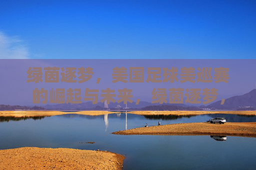 绿茵逐梦，美国足球美巡赛的崛起与未来，绿茵逐梦，美国足球美巡赛的崛起与未来