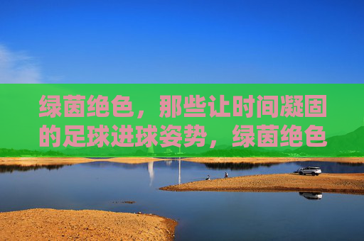 绿茵绝色，那些让时间凝固的足球进球姿势，绿茵绝色，凝固时间的进球经典