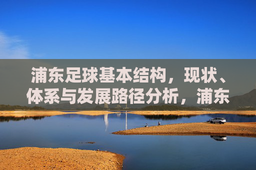 浦东足球基本结构，现状、体系与发展路径分析，浦东足球，结构与体系现状及发展路径分析
